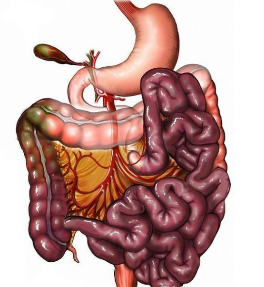 腸息肉者，排便出現3個(gè)異常，十有八九息肉已變成“癌”